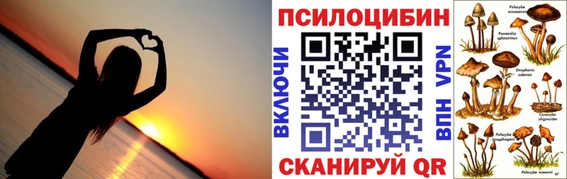 Галлюциногенные грибы Psilocybine cubensis kraken маркетплейс Кувандык